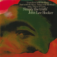 (Twist Ain't Nothin') But The Old Time Shimmy - John Lee Hooker
