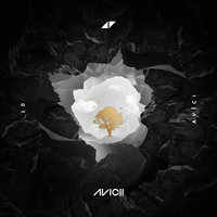 Without You - Avicii, Sandro Cavazza