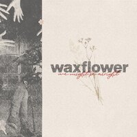 Not Alone - Waxflower