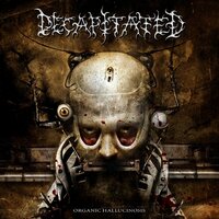 Flash - B(L)Ack - Decapitated