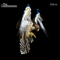 Scratch Your Name Upon My Lips - The Courteeners