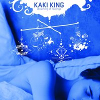 Life Being What It Is - Kaki King