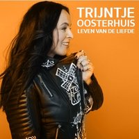 Als De Liefde Niet Bestond - Trijntje Oosterhuis