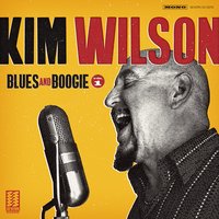 Searched All Over - Kim Wilson