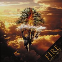 Fire - Mirko Hirsch