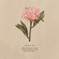 Весна - ELLINA R