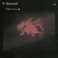 Endeavour - Elder Island