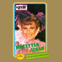 Bir Sevgi İstiyorum - Müzeyyen Senar