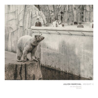 Marchal: Insight XIV - Julien Marchal