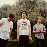 The Wombats