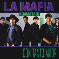 Pienso En Ti - La Mafia