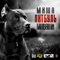 Война против войны - МАВАШИ group