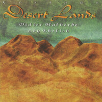 Didier Malherbe