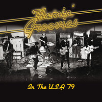 Baby, Please Don't Go - Flamin' Groovies