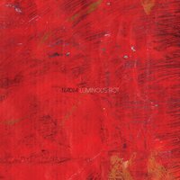 Luminous Rot - Nadja