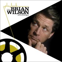 This Isn't Love - Brian Wilson