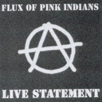 Flux of Pink Indians