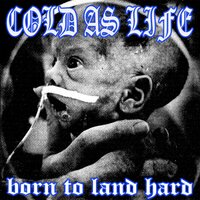 Cold As Life