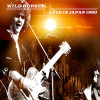 Face Down - Wild Horses
