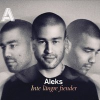 Va dig själv - Gurmo, Aleks