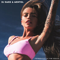 Astronaut in the Ocean - DJ Dark