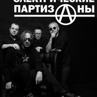 Электропартизаны