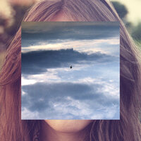 Without Reasons - Pegase