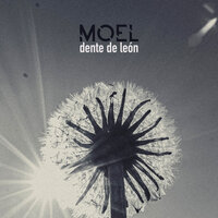 Dente de León - MOEL