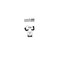 Crazy World - Panda Dub