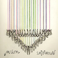 The Colorful Stabwound - múm