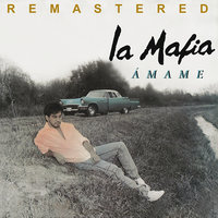 Ámame - La Mafia