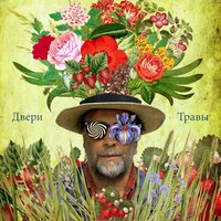 Двери травы - Аквариум