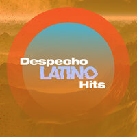 Estuve - Alejandro Fernandez