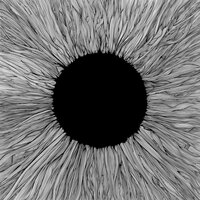These Black Claws - VOLA, Shahmen