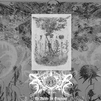 Xasthur