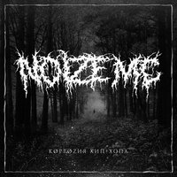 Коррозия хип-хопа - Noize MC