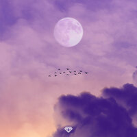 Wavy - Zach Diamond