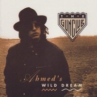 Walkin' with the Beast - The Gun Club