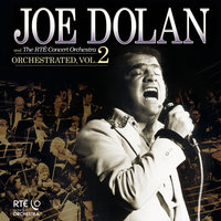 Brilliant Disguise - Joe Dolan, The RTE Concert Orchestra