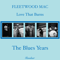 Buzz Me Baby - Fleetwood Mac
