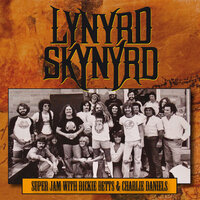 Reflections - Lynyrd Skynyrd, Dickie Betts, Charlie Daniels