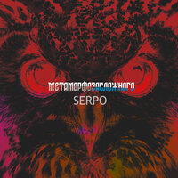 Меня ты не поймешь - SERPO