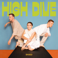 Visible Woman - SHAED