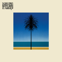 The Ballad of the 17 Year Old - Metronomy
