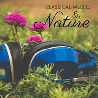 Nutcracker Suite, Op. 71a: No. 2b, Dance of the Sugar Plum Fairy. Andante ma non troppo - Donetsk Symphony Orchestra, Silvano Frontalini, Пётр Ильич Чайковский