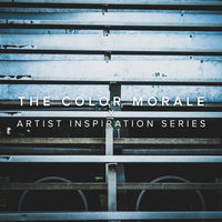 Wake The Dead - The Color Morale