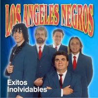 Como Quisiera Decirte - Los Angeles Negros