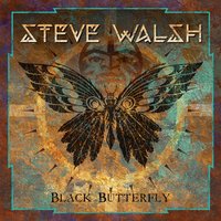 Now Until Forever - Steve Walsh, Jerome Mazza