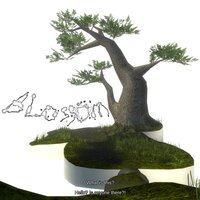 Blossom - Mental, Colton