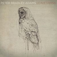 The Longer I Run - Peter Bradley Adams